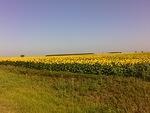 07-26-06_0914.jpg