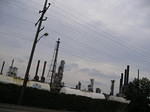 P1010006.JPG