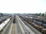 P1010009.JPG