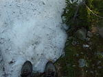 finally, snow (megan, hurry up and take the picture!)