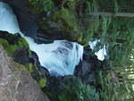 P7110001.JPG