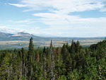 P7130031.JPG