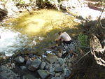 following the streams
