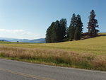 Western Washington