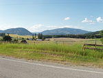 there were lots of bugs on this road - and greg sang a song about loose gravel