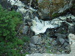 p7020143.jpg