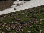 p7260235.jpg