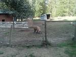 IMG 20130904 174545