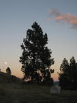 IMG 2158