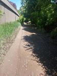 IMG 20140609 130402