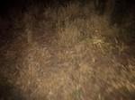 IMG 20140613 212645