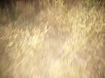 IMG 20140613 212650
