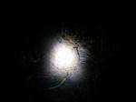 IMG 20140613 212715