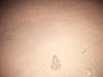 IMG 20140613 212732