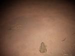 IMG 20140613 212735