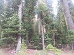IMG 20150709 184201