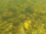 20160621 164544