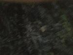 20170708 175356