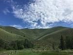 IMG 9541