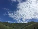 IMG 9542
