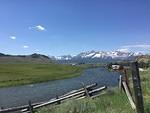 IMG 9558