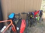 IMG 9562