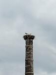 IMG 20180621 153124