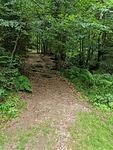 IMG 20180624 130351
