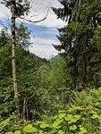 IMG 20180624 131624