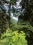 IMG 20180624 131741