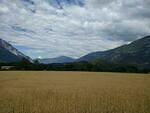 IMG 20180629 163121