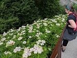IMG 20180629 171106