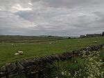 IMG 20190601 200316