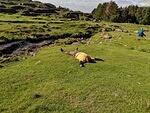 IMG 20190610 171437