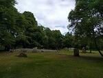 IMG 20190618 114235