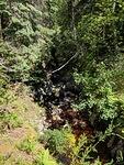 IMG 20190618 133215
