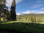 IMG 20190619 175457