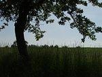 P5210238.JPG