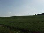 P5210242.JPG