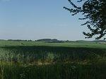 P5220260.JPG
