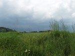 P5220272.JPG