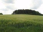 P5230307.JPG
