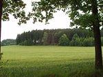 P5230308.JPG