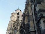 P5250371.JPG