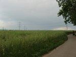 P5260403.JPG