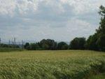 P5270435.JPG