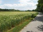 P5270437.JPG