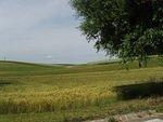 P5280445.JPG