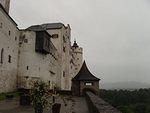 P5290491.JPG