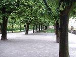 P5290497.JPG